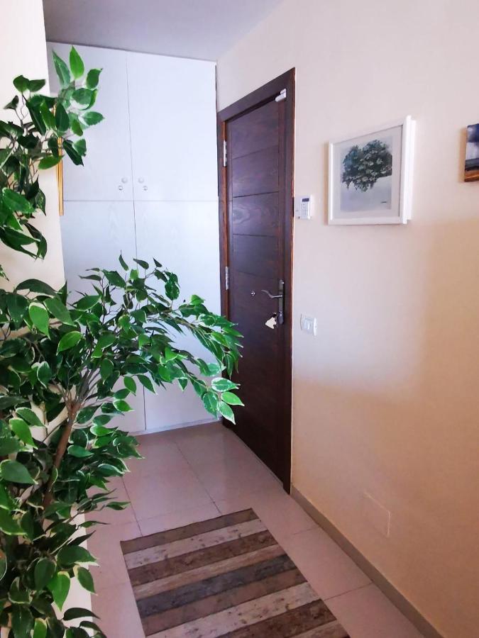 Bookinn Golf Park Sunny Cozy Apartment Near The Ocean With Large Double Terraces, Fiber Wifi, 3 Pools, Bbq Tenerife South サンミゲル・デ・アボナ エクステリア 写真